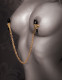 Fetish Fantasy Gold Chain Nipple Clamps - Gold Image
