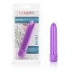 Mini Neon Multi-Speed Vibe 4.5 Inches - Purple Image