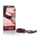 Scandal Collar With Leash Image