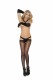 Sheer Criss Cross Suspender Pantyhose - One Size Image