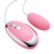 Cloud 9 3 Speed Bullet With Remote - Pink Image