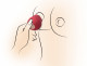 Inmi - Bloomgasm Wild Rose Silicone Suction Stimulator - Red Image