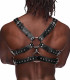 Gemini Leather Harness - One Size - Black Image