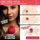 Orchids Wild Vibrating Pinpoint Rose Tickler - Red Image