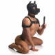 Full Pup Arsenal Set Neoprene Puppy Hood, Chest  Harness, Collar With Leash and Arm Band - Black Image