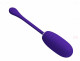 Kirk Rechargeable Vibrating Egg - Purple Image