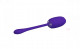 Kirk Rechargeable Vibrating Egg - Purple Image