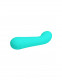 Faun Rechargeable Vibrator - Turquoise Image