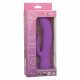 First Time Rechargeable Pleaser - Purple Image