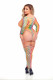 Taste the Rainbow Teddy and Thigh Hi Set - Rainbow Image