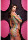 Fencenet Rainbow Mini Dress - One Size Image