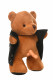 The Flasher Exhibitionist Teddy Bear Plush Image