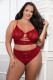 Cinnamon Red 2pc Satin Bra and High Waist Panty - Queen Size Image