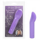 Dr. Laura Berman Rechargeable Flutter- Purple Image