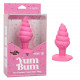 Naughty Bits Yum Bum Ice Cream Cone Butt Plug - Pink Image