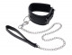 Edge Collar and Leash - Black Image