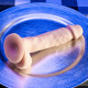 6.5" Natural Feel Dildo Light Image