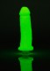 Clone-a-Willy Glow-in-the-Dark Kit - Original Image